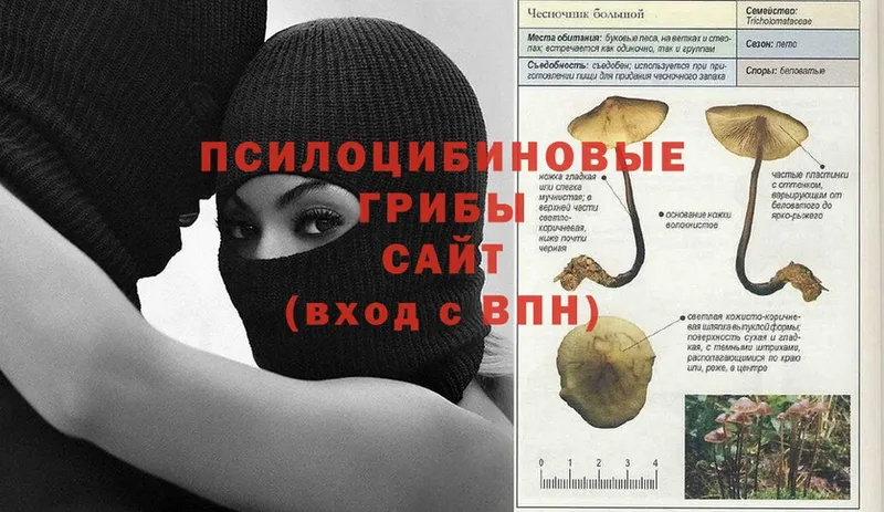 Псилоцибиновые грибы прущие грибы  где купить   Тарко-Сале 