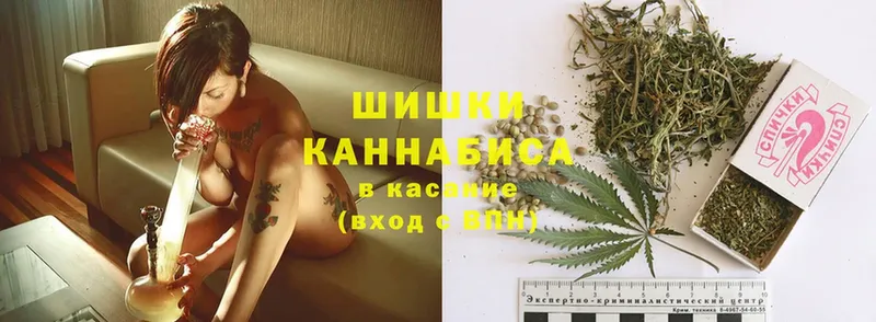 МАРИХУАНА OG Kush  Тарко-Сале 